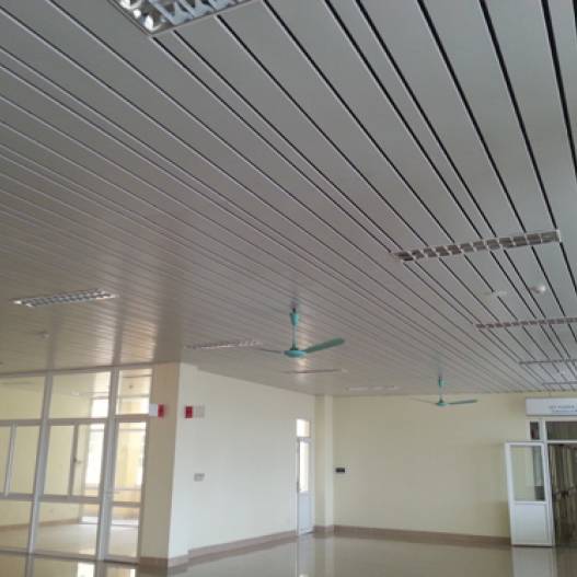 TRẦN SỌC B-SHAPED